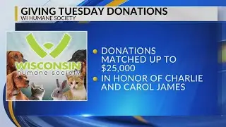 Wisconsin Humane Society matching donations up to $25K on Giving Tuesday