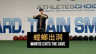 Sifu Dong Thai | Mantis Exits the Cave [螳螂出洞] Demonstration