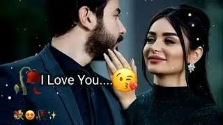 Love Female Shayari 🤎|| Shayari WhatsApp status 💕🥰|| Romantic Shayari WhatsApp status