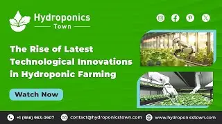 The Rise of Latest Technological Innovations in Hydroponic Farming-HydroponicsTown