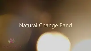 Party Like A Survivor presents Natural Change Band