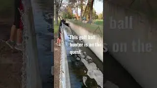 Golf Ball Hunting: Catching them all in Arcadia #socal #losangeles #golf #shorts #pokemon