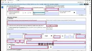 IMM0008 第1、2页逐格填写指南