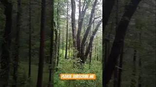 Beautiful Rainy Day in Murree Hills | Nature&rsquo;s Paradise #CloudyWeather  #GreenPakistan #foryou #vlog