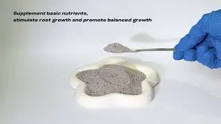 Seaweed Type NPK Fertilizer 15-15-10+3 Seaweed