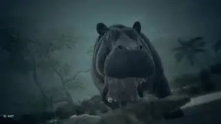 Ancestors: The Humankind Odyssey Hippo Vs. Python