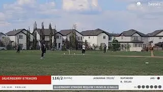 Final Live Cricket Match | Sunday Cup  (Final) Live - 460 Watt Blvd SW, Edmonton, AB T6X 0P6 Corpus
