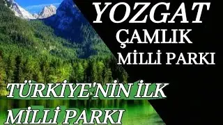 Yozgat Çamlık Milli Parkı Türkiye'nin İlk Milli Parkı