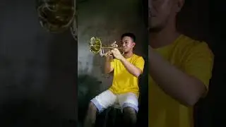 O Holy Night - John Sullivan Dwight || Trumpet Song Cover 🎺