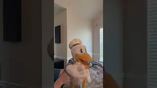 Donald Ducc Is Going to Sleep