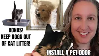 Install a Pet Door & Keep Dogs Out of a Litter Box