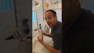 What would you rate these soap dispensers