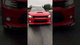 Dodge charger customized to red. #shorts