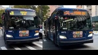 MTA NYCTA: M31 Bus Route Morning Action At York Av & E 67-65 Sts (With New Flyer Loans) (10/15/2024)