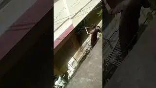 Dowlanss ac wass new tecnolgey