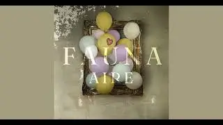 Fauna - Aire