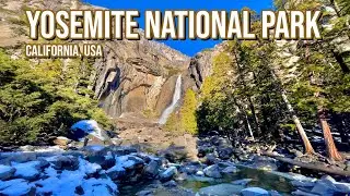 Yosemite WINTER WATERFALL Hike - Lower Yosemite Falls - Full Hike