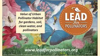 Value of Urban Pollinator Habitat for gardens, soil, clean water, pollinators