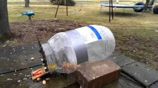 Homemade bird trap