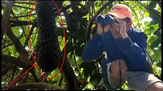 mus tsom ntab no luag tias ua qab ces tau nab no ces zoo li no lau.24/1/2026
