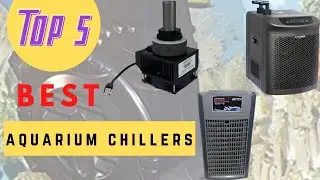 Top 5 Update Aquarium Chillers