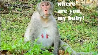 Poor Jane mom deep sad miss her baby Janet, Jane very worry&miss Janet#NM147