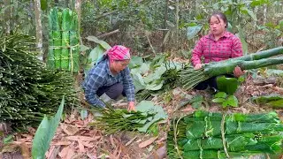 Go with mom to pick dong leaves to sell, Clean up the sawdust and burn it.|Phuc and Sua