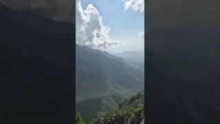&Ccedil;ok Can alan yol alanya kuşyuvası😭😭