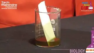 Chromatography (Telugu)