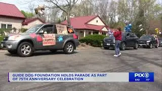 PIX 11 Covers Guide Dog Foundation 75th Anniversary & International Guide Dog Day Parade