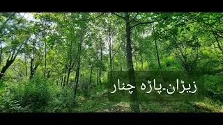 Zeran Parachinar - A Beautiful Picnic Point