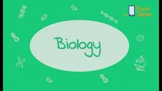Anabolic and Catabolic reactions