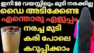 100% നരയെ ഇനി പേടക്കണ്ട /വേഗത്തിൽ മുടി കറുപ്പിക്കാം/Natural Hair Dye .