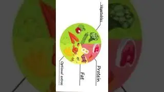 Explained about bulking plateau #fitnessmotivation #gumball #gym #regain #bulking #plate #vijay