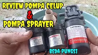 review pompa celup aquarium & sprayer elektrik
