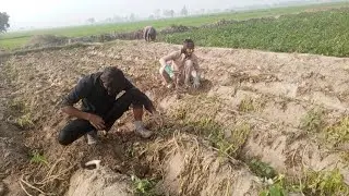 🥔🎥👈 یہ ویڈیو والون کی دیکھ کر بتاؤ۔