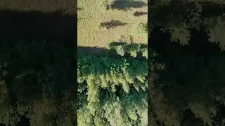 Полетай со мной 🚀 SkyVlog #drone #fpvcommunity #fpv #fpvdrone #shorts