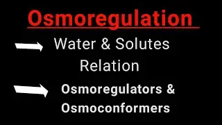 Define Osmoregulation & Osmoregulater  & osmoconformers #homeostasis #techbiology
