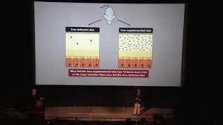 Spring 2020 Master's in Four Finalist Competition- James Ippolito