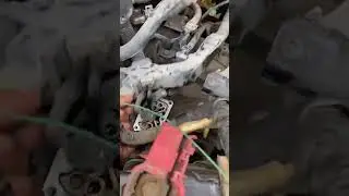 Honda civic try bone wall body service #automobile #bettafish #civic ⚙️⚙️⚙️⚙️⚙️💯💯💯💯💯💯