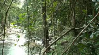 Binna Burra -  Lamington National Park Queensland