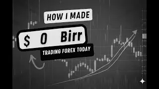 How i made 0 Birr Trading Forex Today ( Protecting Capital i guess )
