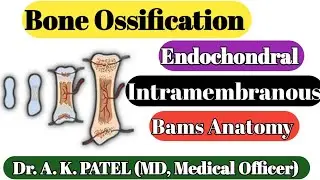 Ossification of bone, endochondral, intramembranous Ossification, Anatomy Bams first prof, Tricks