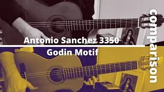 Antonio Sanchez vs Godin Motif - guitar comparison