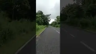 Green Nature road Side