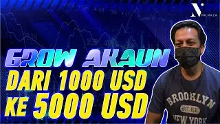 GROW AKAUN DARI 1000 USD KE 5000 USD DALAM MASA 2 MINGGU
