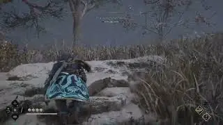 Assassin's Creed Shadows- Fabric sticks out and seem like it's frozen in place