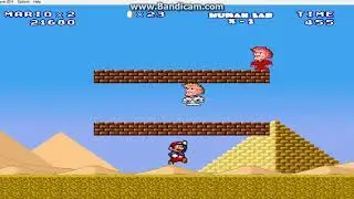 Mario Forever Human Lab X