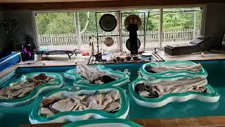 Gongbad & Floating Sound Bath &ndash; Soundhealing i vatten, R&ouml;dde Ranch Blentarp
