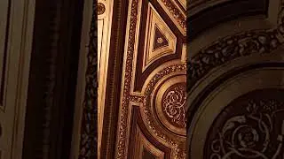 Vienna golden hall: Mozart Figaro